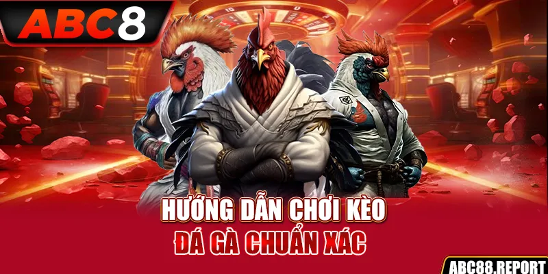 Hướng dẫn chơi kèo đá gà chuẩn xác 2024